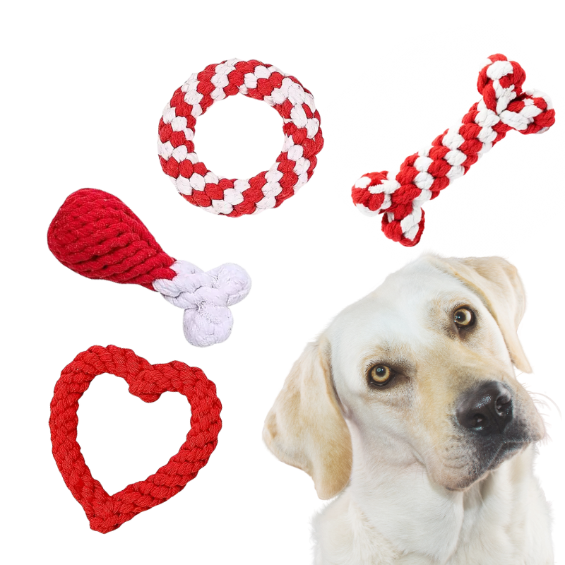 Lot de quatre jouets en corde pour chien, en rouge et blanc, comprenant un anneau, une cuisse, un cœur et un os pour des jeux interactifs.